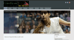 Desktop Screenshot of cybersquash.net